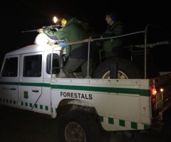 Cacería de jabalíes a bordo de 4x4